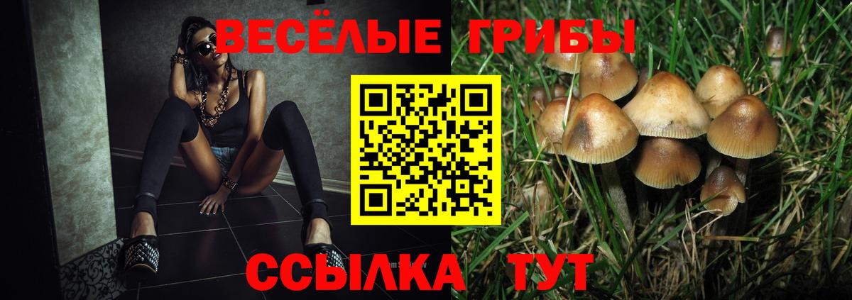 Галлюциногенные грибы мицелий  Галлюциногенные грибы Magic Shrooms  Вход с VPN  Феодосия 